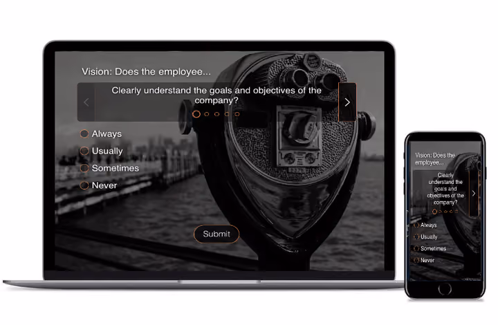 Examples of 360 Degree Surveys