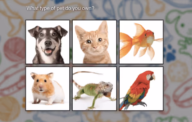 Survey with Images