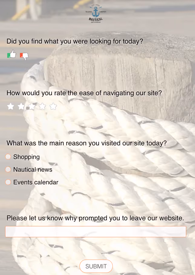 Exit Intent Survey