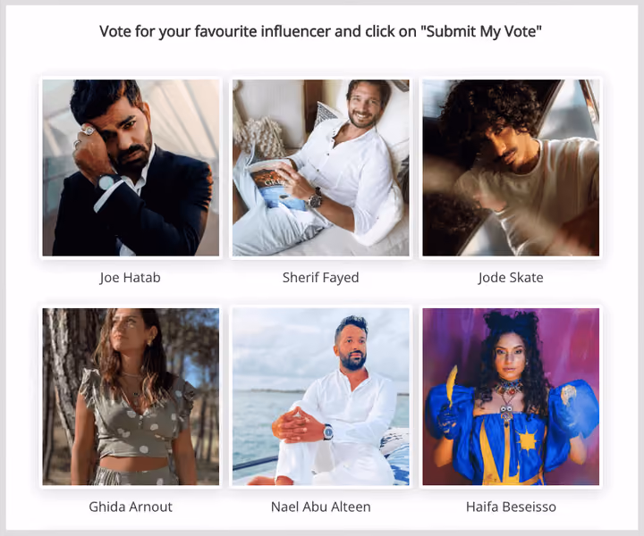 MENA Awards Using SurveyLegend