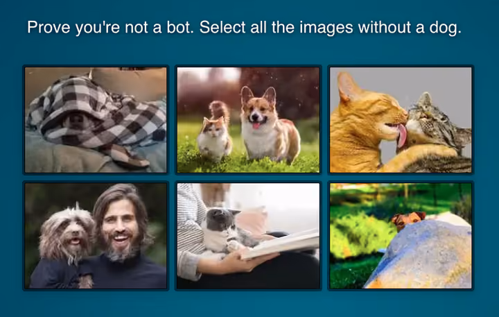 SurveyLegend CAPTCHA