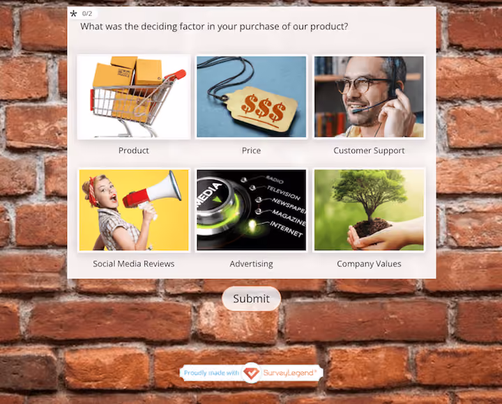 B2C & B2B Surveys