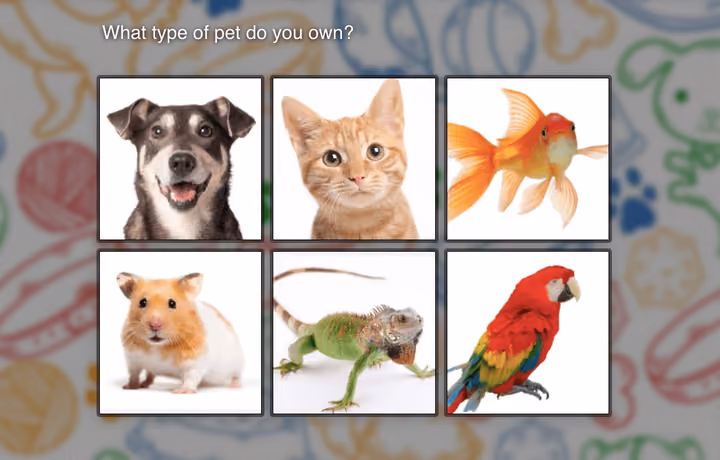 Survey with Images