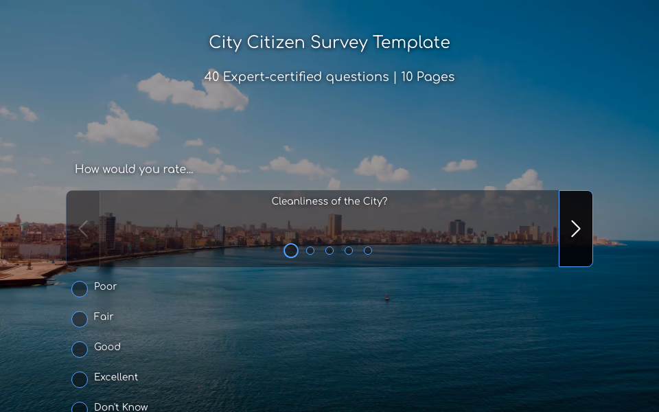 Preview of the City Citizen Survey Template