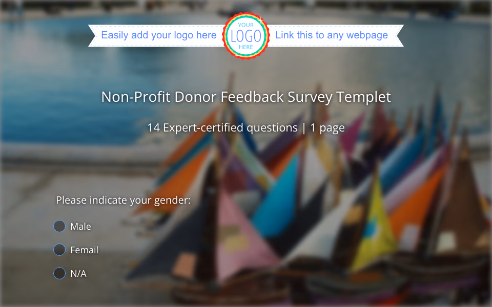 Preview of the Non-Profit Donor Feedback Survey Template