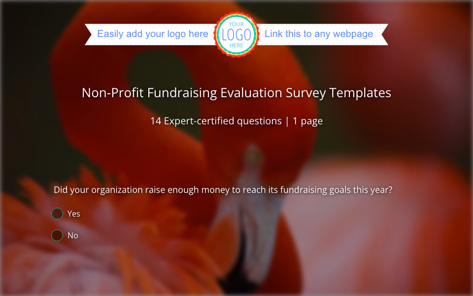 Preview of the Non-Profit Fundraising Evaluation Survey Template