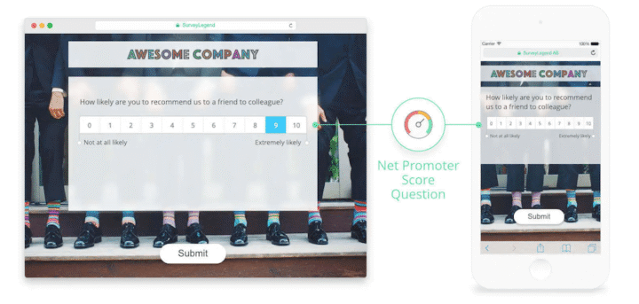 Net Promoter Score (NPS) Survey