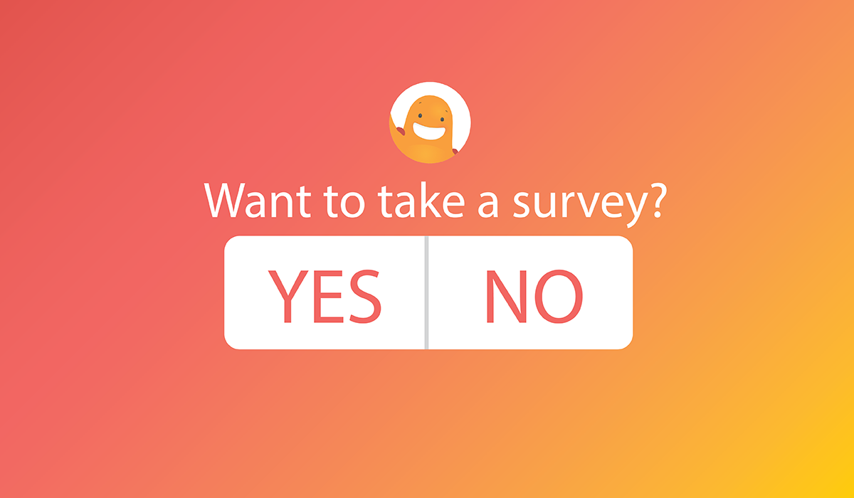 social survey