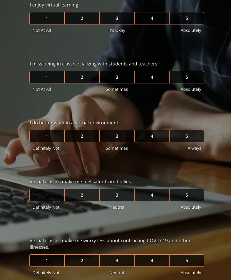 Virtual Learning Survey