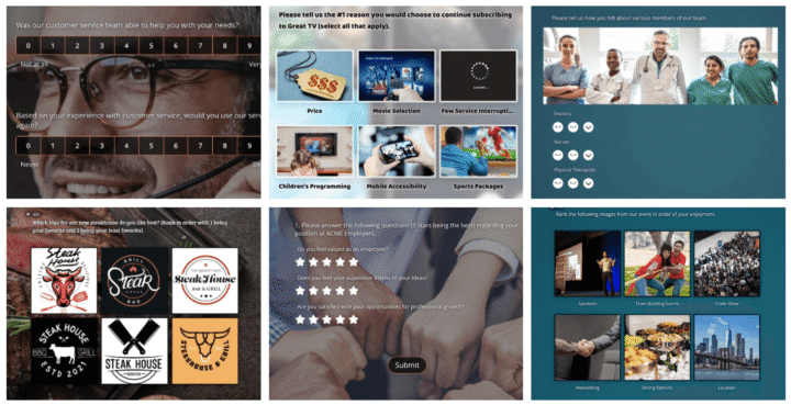 Types of Business Surveys