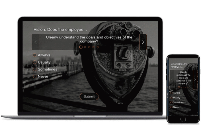 Examples of 360 Degree Surveys