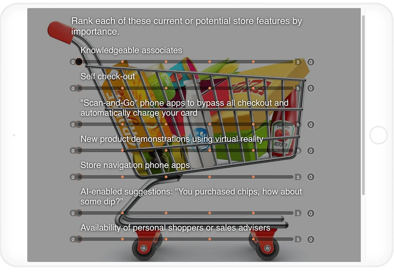 Consumer Shopping Survey